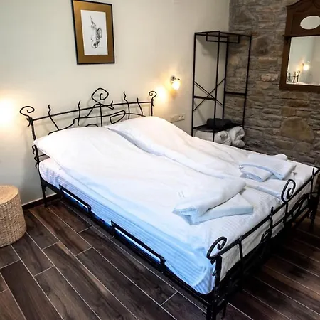 тангента за гости Villa *