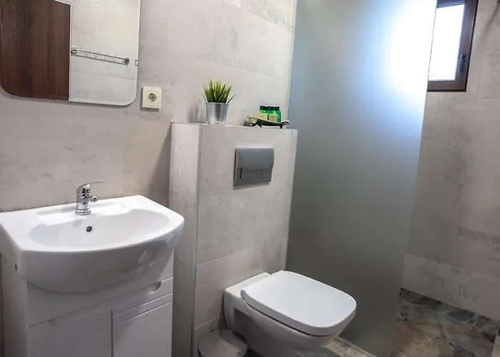 ヴィラ тангента за гости *