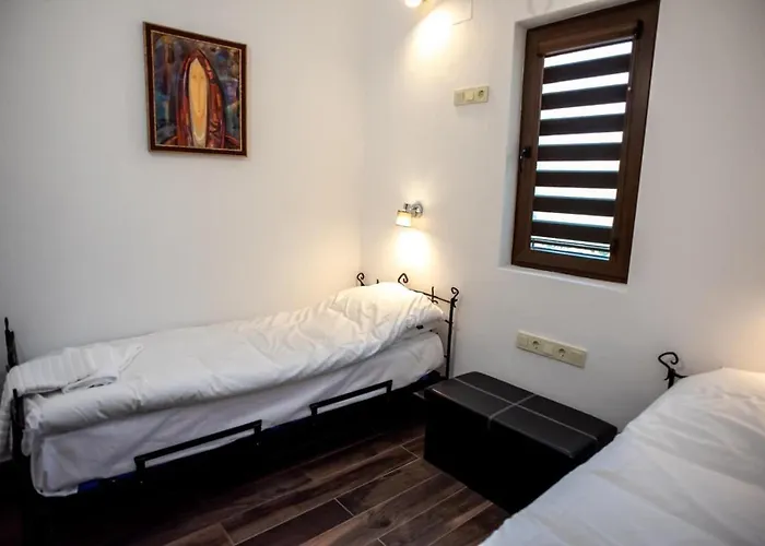 тангента за гости オレシャク