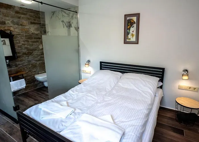 ヴィラ тангента за гости オレシャク