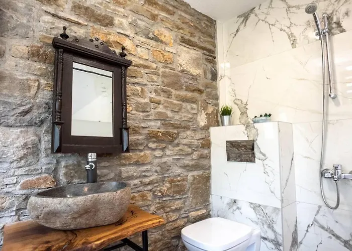 тангента за гости ヴィラ